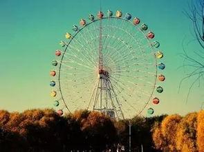 最新爆料许凯景甜摩天轮,浪漫瞬间引网友热议