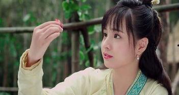 花间提壶在线观看,古风美食传奇，在线观看带你穿越古今  第2张